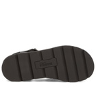 Clarks Originals Women's Meadow Buckle Sandal in Black Leather