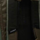 Osprey Transporter Roll Top Backpack in Pine Leaf/Earl Grey 