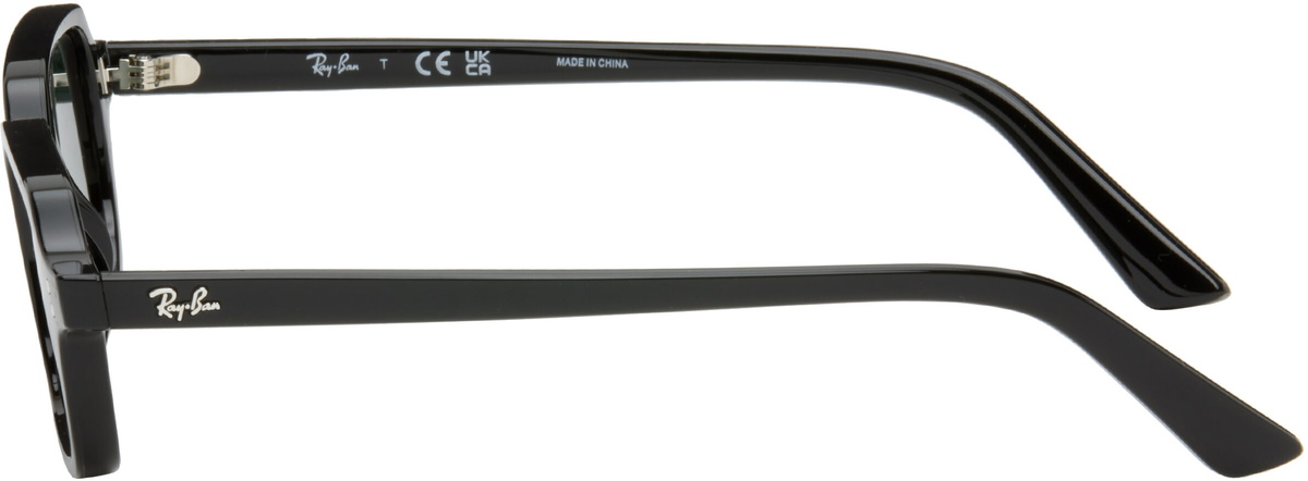 Ray-Ban Black Zuri Sunglasses
