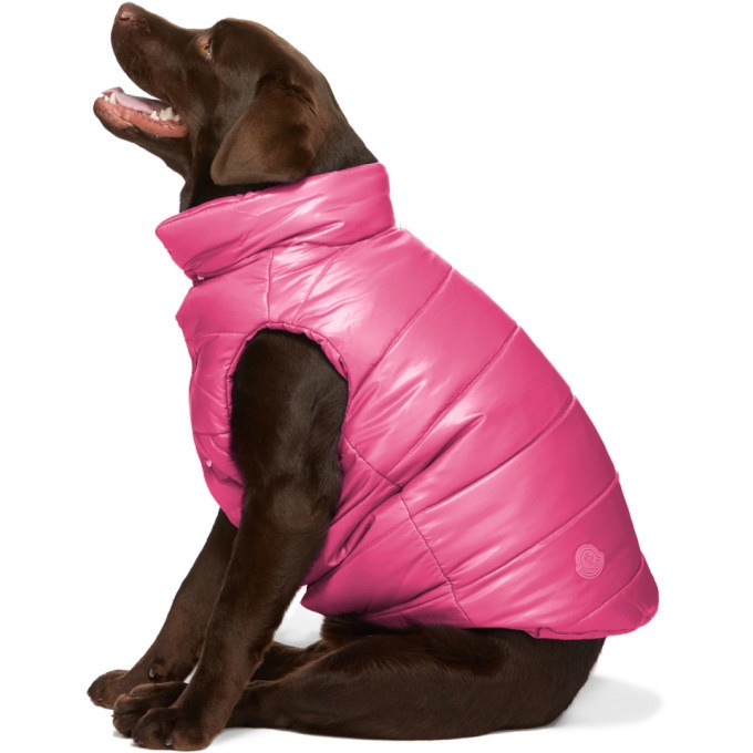 Photo: Moncler Genius Pink Poldo Dog Couture Edition Insulated Jacket