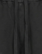 Crossley Womens Pants in Black