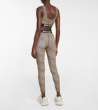Palm Angels - Leopard-print sports bra