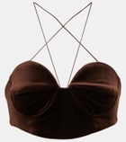 Alex Perry Halterneck velvet bralette