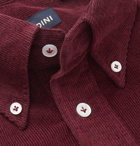 Lardini - Slim-Fit Button-Down Collar Cotton-Corduroy Shirt - Burgundy