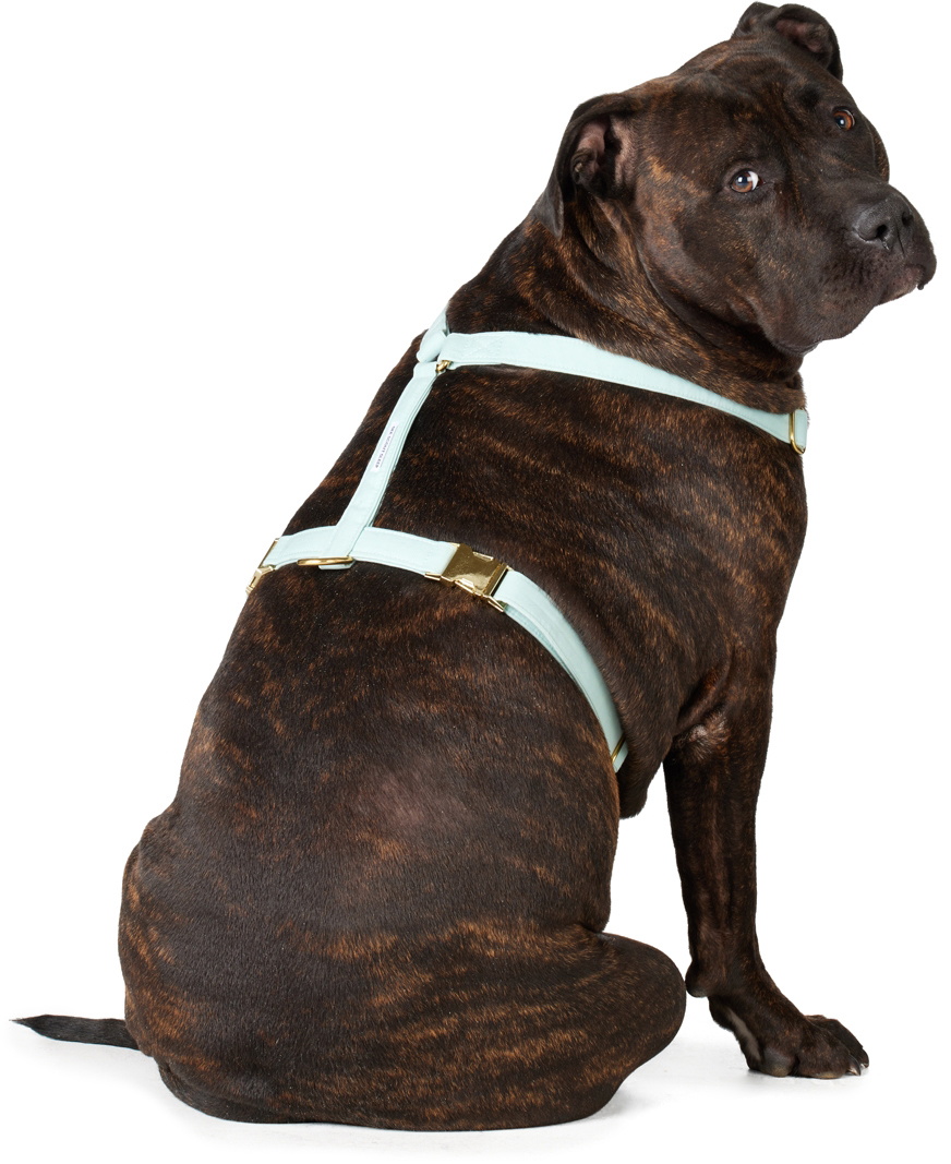 See Scout Sleep Green The Scot Extra Large Original Harness