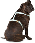 See Scout Sleep Green The Scot Extra Large Original Harness