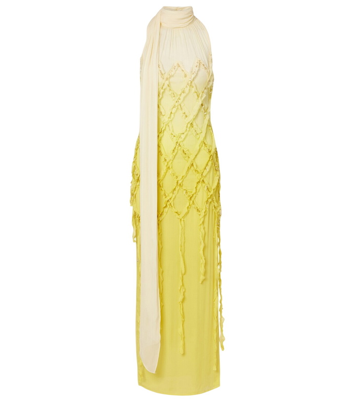 Photo: Blumarine Embellished crepon maxi dress