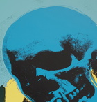 THE SKATEROOM - Andy Warhol Skull Series Printed Wooden Skateboard - Blue