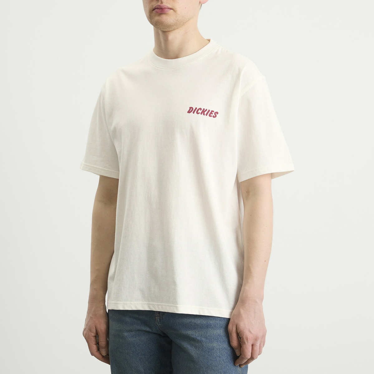 Dickies Men's Dry Ridge T-Shirt in Egret