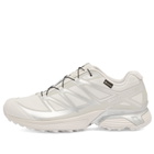 Salomon XT-PATHWAY GTX Sneaker in Lunar Rock/Alloy