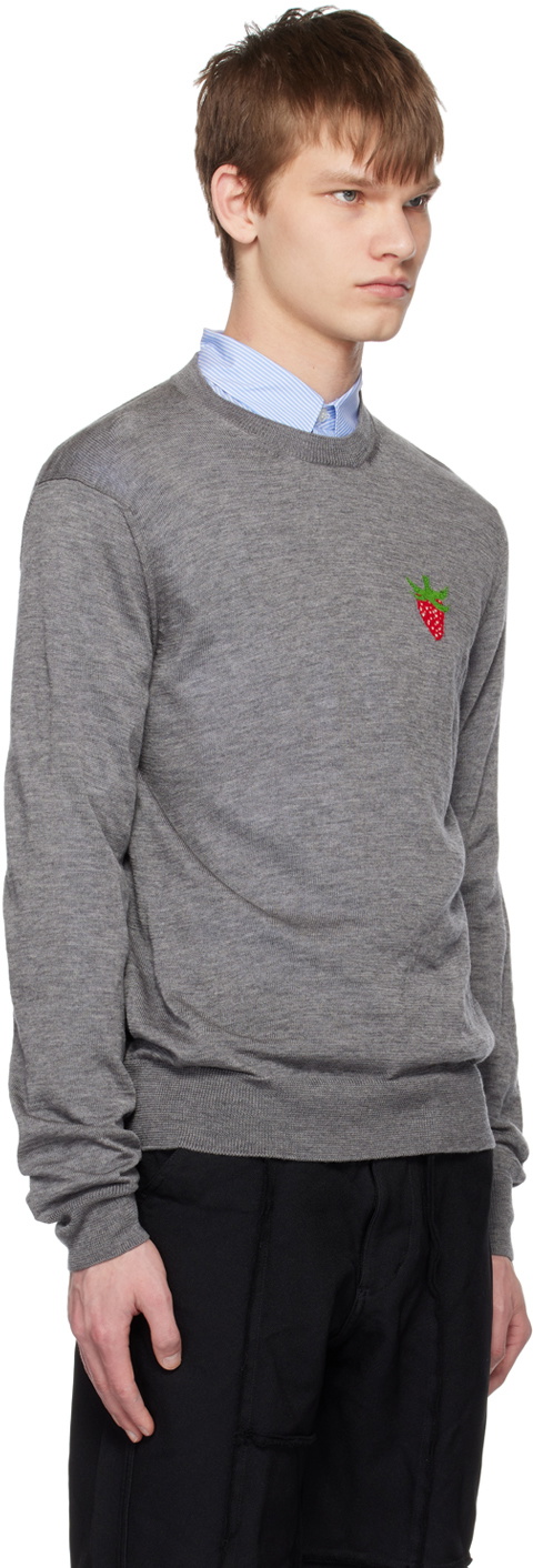 Comme des Garçons Shirt Gray Brett Westfall Edition Sweater
