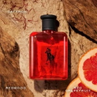 Ralph Lauren Mens Polo Red Gift Set Fragrances 3605972968623