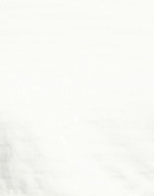 Peserico Womens Top in White