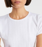 Leset Pointelle cotton crop top