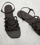 Loewe Paula's Ibiza Petal Anagram leather sandals