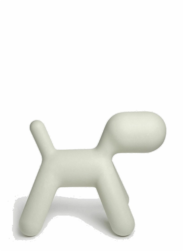 Photo: Medium Puppy in White