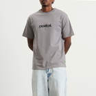 POSTAL Men's Spider T-Shirt in Concrete