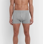 Hamilton and Hare - Mélange Stretch Lyocell and Cotton-Blend Boxer Briefs - Gray