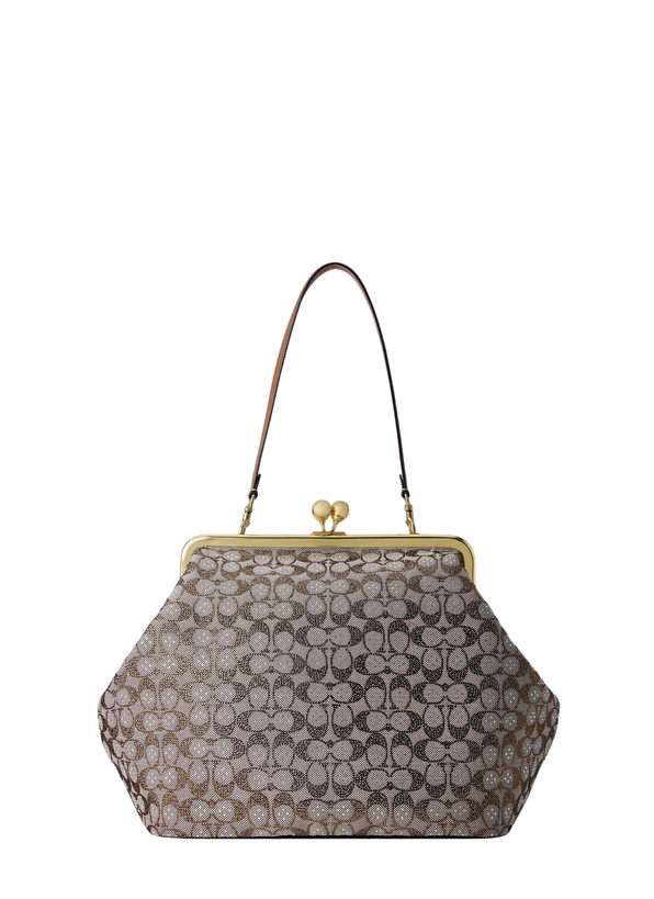 Photo: Coach Large Kisslock Frame Bag