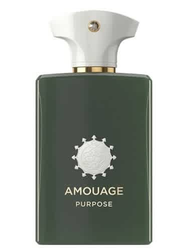 Amouage Purpose EDP Spray 3.4 oz Fragrances 701666410430