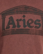 Aries Mens Sweatshirt Chocolate in Brown