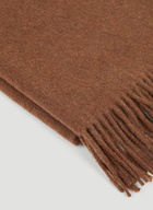 Fringe Scarf in Brown