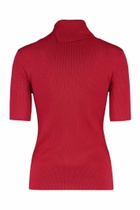 Parosh Leila Wool Turtleneck Sweater