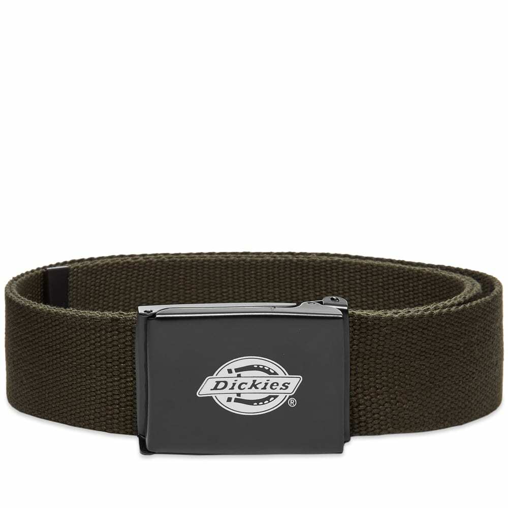 Dickies Men's Orcutt Belt in Olive Green Dickies Construct