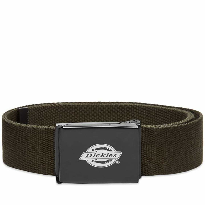 Photo: Dickies Men's Orcutt Belt in Olive Green