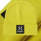 Haglofs Men's Haglöfs Maze Beanie in Aurora