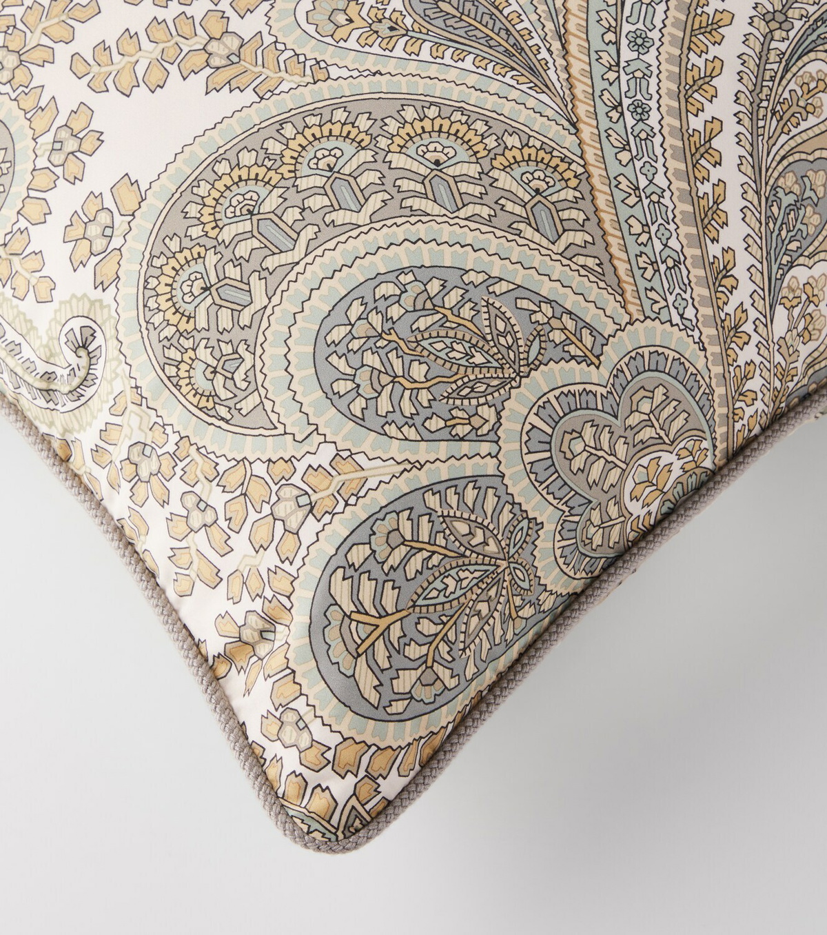 Etro Paisley cotton cushion