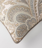 Etro Paisley cotton cushion