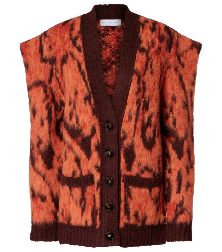 Photo: Stella McCartney Printed sweater vest