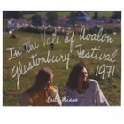 IDEA Paul Misso In The Vale Of Avalon: Glastonbury Festival in Green 