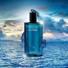 Coolwater Men / Davidoff EDT Spray 4.2 oz (m)