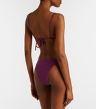 Jade Swim Nyra bikini bottoms
