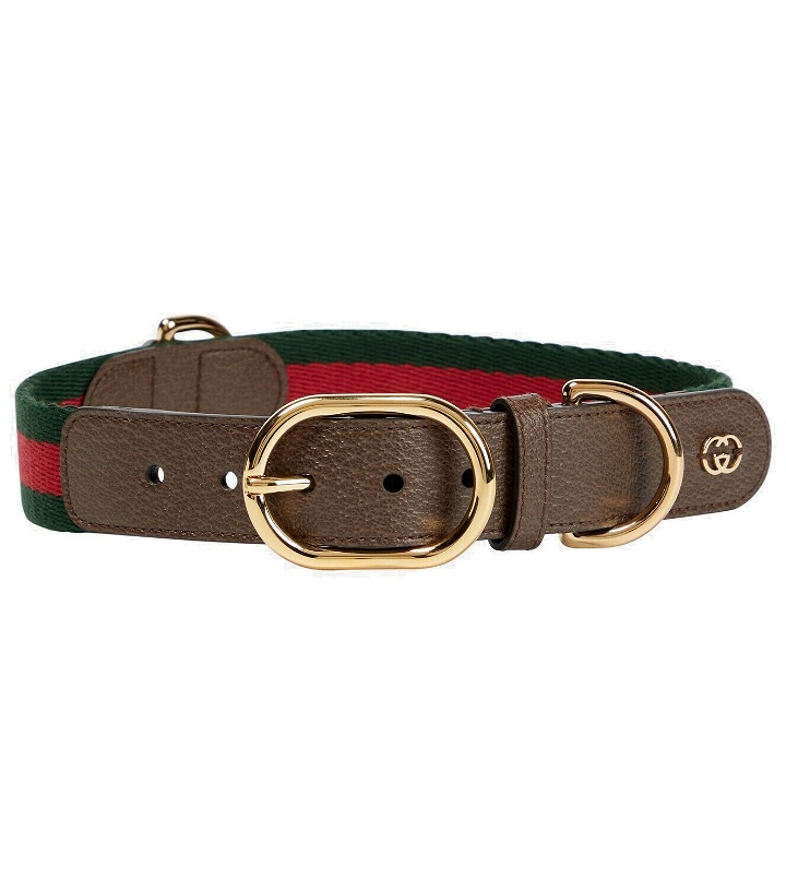 Photo: Gucci - Web Stripe L/XL faux leather dog collar