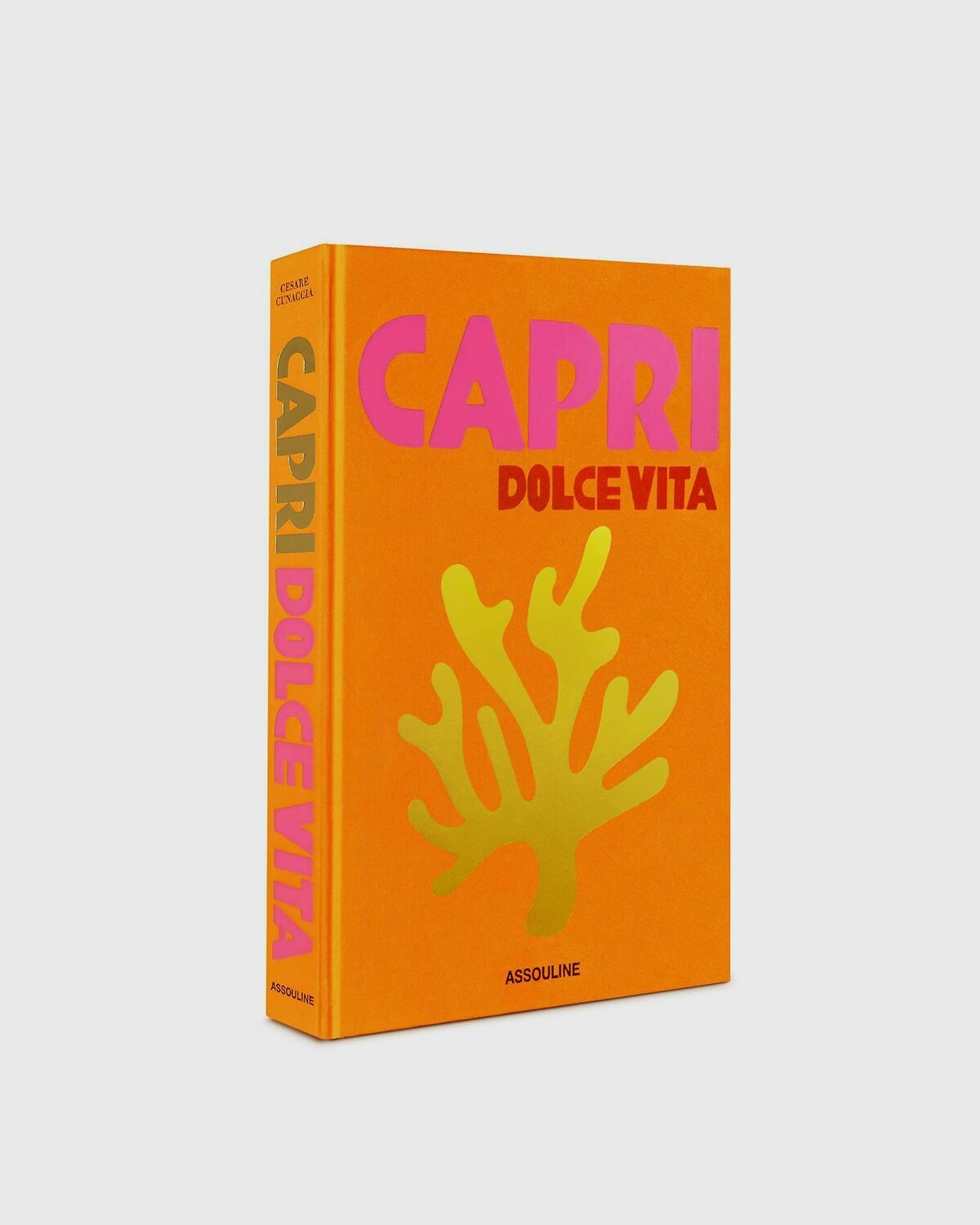 Assouline "Capri Dolce" Vita By Cesare Cunaccia Multi Travel