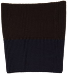 Z Zegna Reversible Brown & Navy Techmerino Scarf