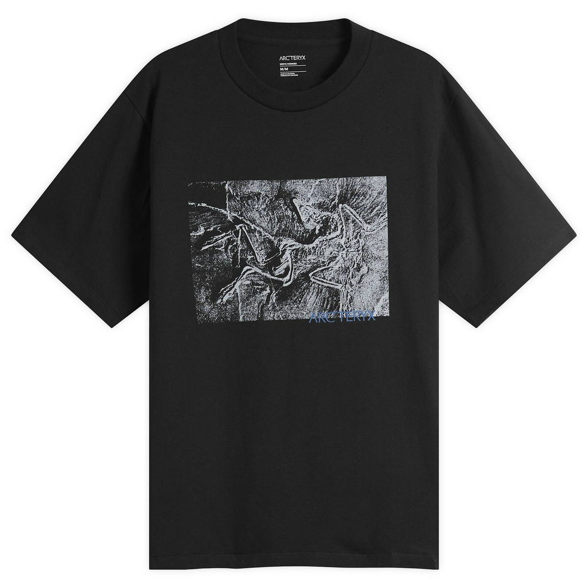 Arc'teryx Men's Cormac T-Shirt in Forage Heather Ii Arc'teryx