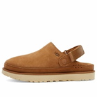 UGG Women's Goldenstar Clog in Chestnut