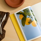 Rizzoli Squeeze Me: Lemons, Recipes & Art in Ruthie Rogers/Ed Ruscha 