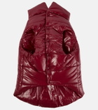 Moncler Moncler Poldo Dog Couture dog coat