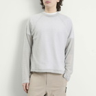 Purple Mountain Observatory Men's Polartec Alpha Pullover in Grey