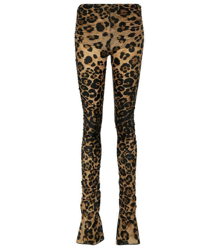 Photo: Blumarine Leopard-print jersey leggings