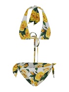 Dolce & Gabbana Floral Bikini