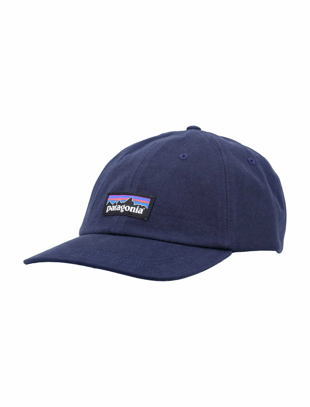 Patagonia P-6 Label Trad Cap