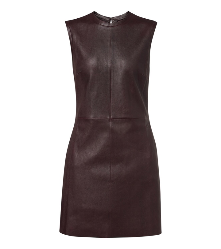 Photo: Stouls Dollie leather minidress