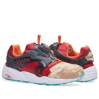 Puma x Titolo x Atmos Disc Blaze 'Desert Dusk'