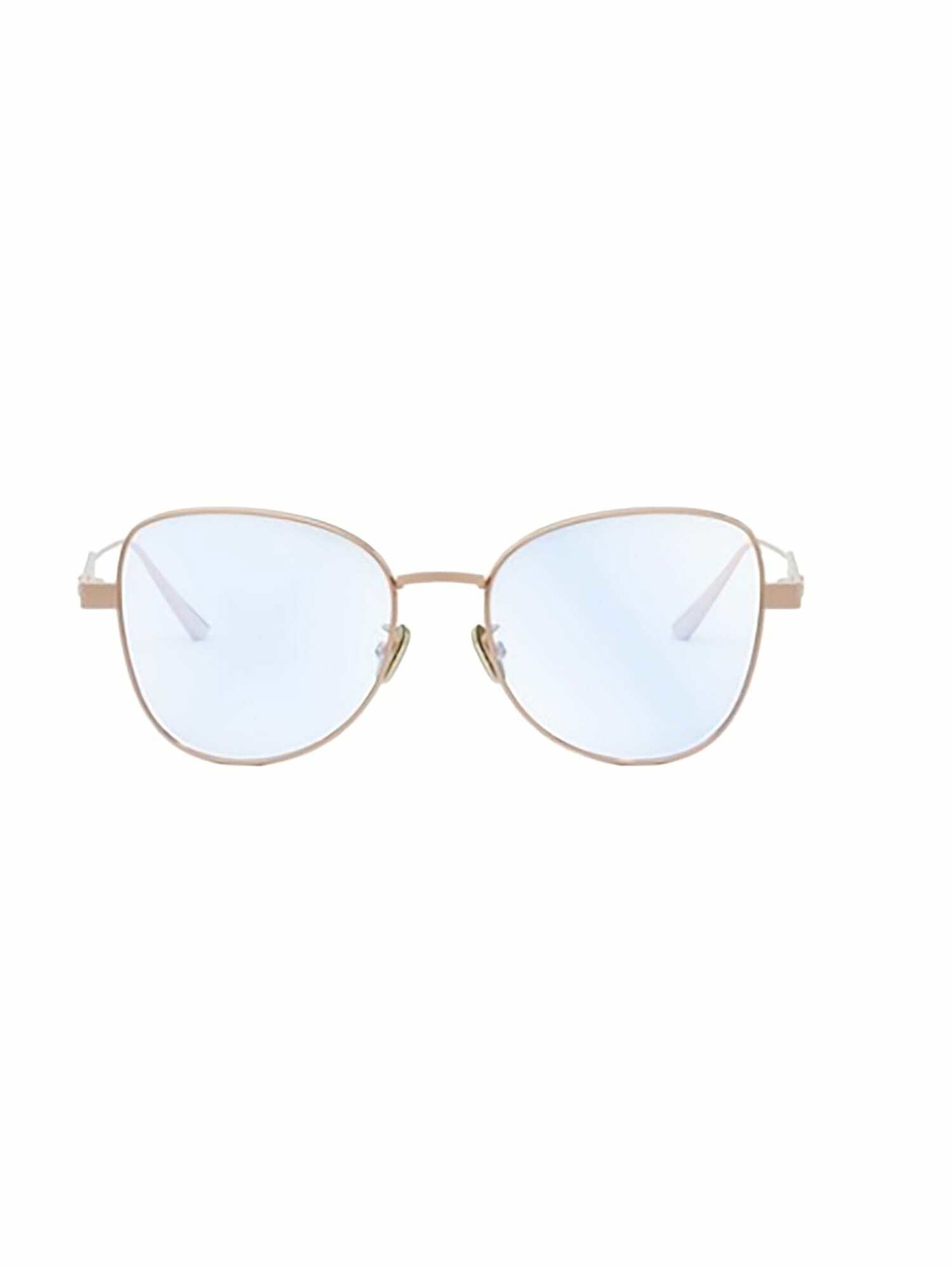 DIORCANNAGEO B1F Eyewear